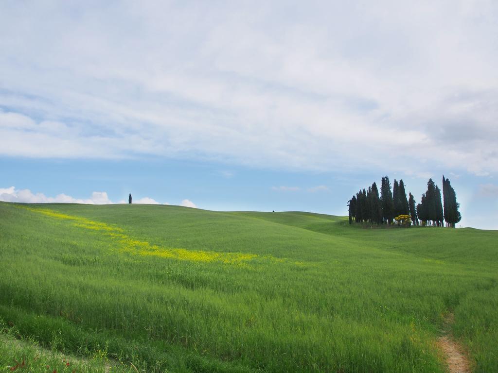 Agriturismo Santa Maria Villa Torrita di Siena Buitenkant foto