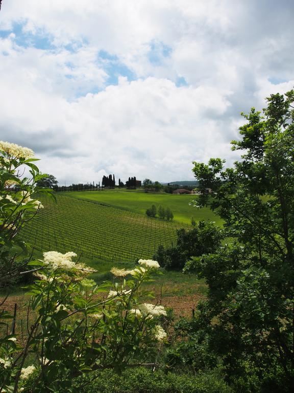 Agriturismo Santa Maria Villa Torrita di Siena Buitenkant foto