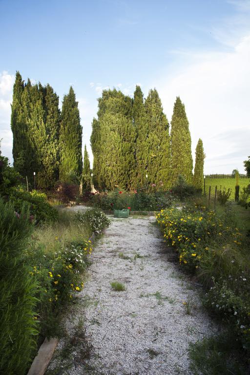 Agriturismo Santa Maria Villa Torrita di Siena Buitenkant foto